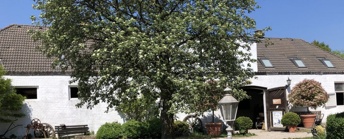 Reitstall Hubertus Krefeld Reitschule Reitunterricht